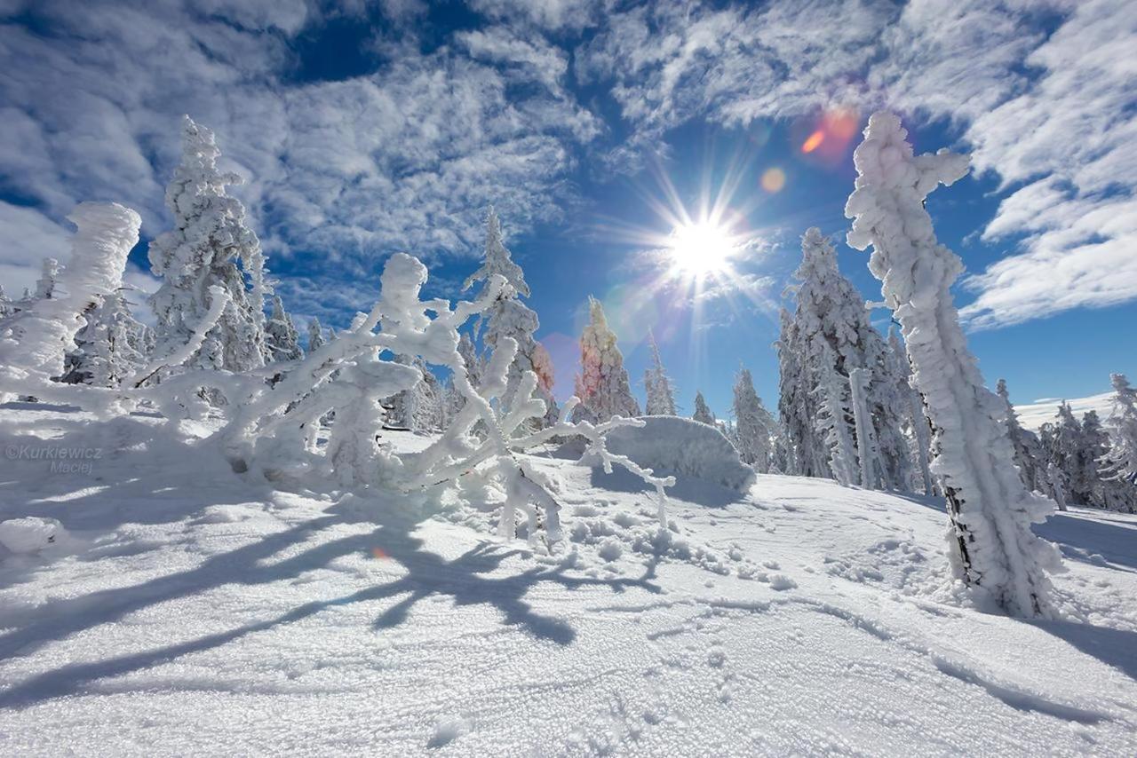 Domek 4Seasons Karpacz Z Prywatna Sauna I Kominkiem Kültér fotó
